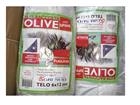 Rete Antispina Racc. Olive Telo 6x12 (intero)